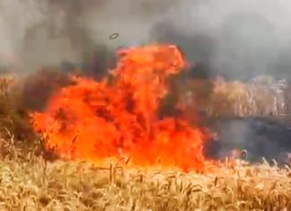 टेकाडी शिवारात भीषण आग; शंभर एकरातील गव्हाचे पीक राख कष्टाचा घाम जळाला, शेतकऱ्यांच्या डोळ्यात अश्रू; तातडीच्या मदतीची मागणी