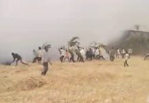 खेडी शिवारात भीषण आग; शेतकऱ्यांच्या डोळ्यांदेखत कष्टांची राख गावकऱ्यांच्या शर्थीच्या प्रयत्नांनी वाचले गाव; महिलांची हाक, मुलांचा आक्रोश