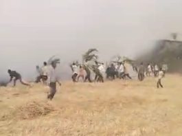 खेडी शिवारात भीषण आग; शेतकऱ्यांच्या डोळ्यांदेखत कष्टांची राख गावकऱ्यांच्या शर्थीच्या प्रयत्नांनी वाचले गाव; महिलांची हाक, मुलांचा आक्रोश