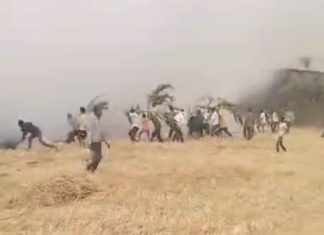 खेडी शिवारात भीषण आग; शेतकऱ्यांच्या डोळ्यांदेखत कष्टांची राख गावकऱ्यांच्या शर्थीच्या प्रयत्नांनी वाचले गाव; महिलांची हाक, मुलांचा आक्रोश