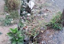 पावसाळ्यापूर्वी मुळ गोंडेगावच्या नाल्यांची स्वच्छता करा सांडपाणी तुंबल्याने ग्रामस्थांमध्ये चिंता; ग्रामपंचायतीकडे लेखी निवेदन