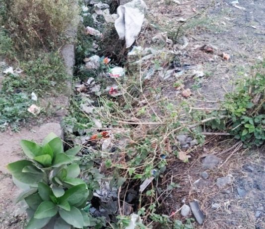 पावसाळ्यापूर्वी मुळ गोंडेगावच्या नाल्यांची स्वच्छता करा सांडपाणी तुंबल्याने ग्रामस्थांमध्ये चिंता; ग्रामपंचायतीकडे लेखी निवेदन